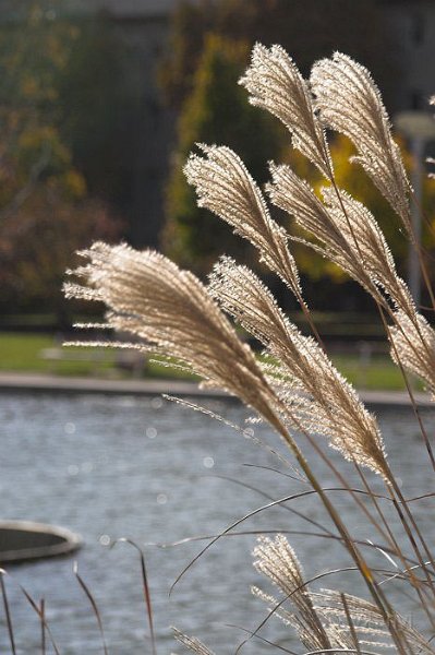 11-02_CRW_2950.jpg