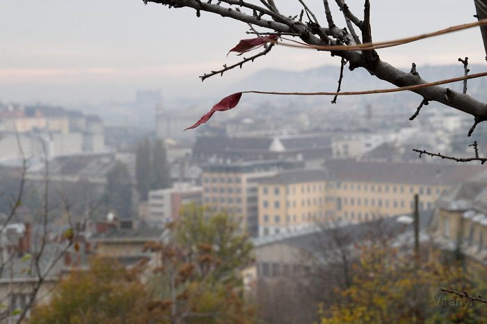 11-09_CRW_3021.jpg