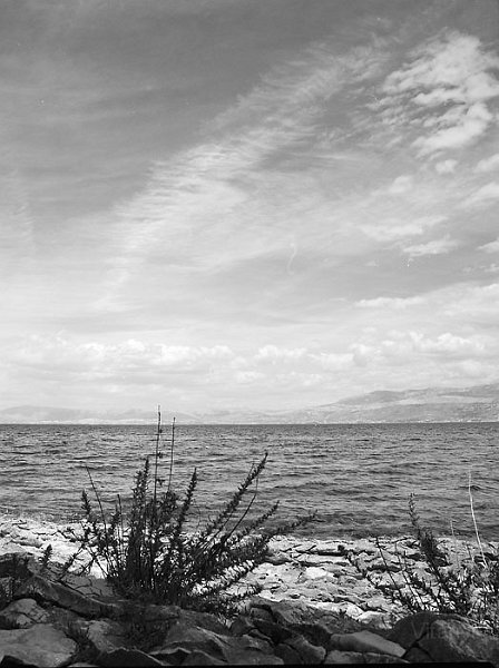 VI_FoN_66-118_10.jpg - Brač