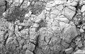VI_FoN_05-02_16