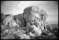 VI_FoN_05-05_13