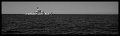 VI_FoN_07-27_10