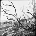 VI_FoN_66-088_12