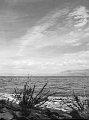 VI_FoN_66-118_10