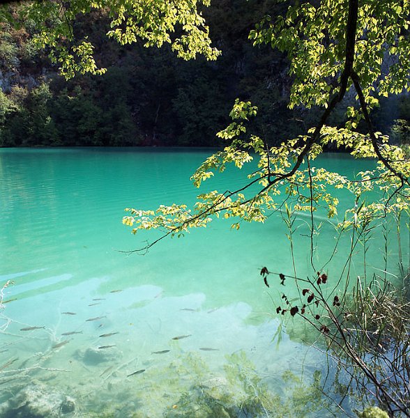 VI_FoN_66-089_41.jpg - Plitvice