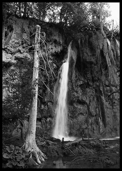 VI_FoN_66-091_02.jpg - Plitvice