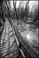 VI_FoN_17-04_24