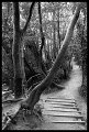 VI_FoN_66-084_09