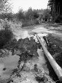 VI_FoN_06-13_32