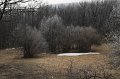 CRW_6236