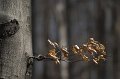 CRW_7268