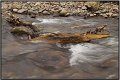 VI_FoDi_04_6068