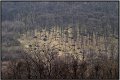VI_FoDi_04_6147
