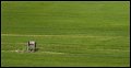 VI_FoDi_04_7102