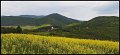 VI_FoDi_04_7426_a