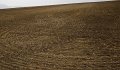 VI_FoDi_05_0521_ak