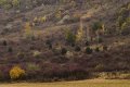 VI_FoDi_05_0546
