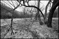 VI_FoN_17-04_30_k