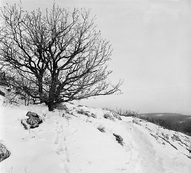VI_FoN_66-147_05.jpg - Újlaki hegy