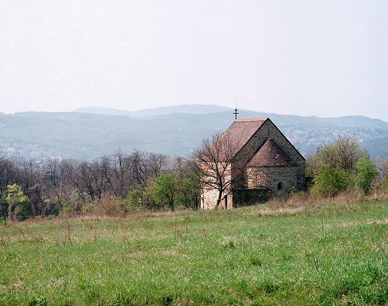 VI_FoN_66-148_12.jpg