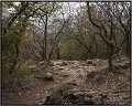 VI_FoDi_04_2633