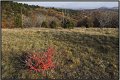 VI_FoDi_04_2941