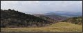 VI_FoDi_04_2951