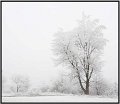 VI_FoDi_04_4144