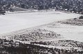 VI_FoDi_05_6776