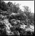 VI_FoN_66-133_10
