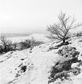 VI_FoN_66-147_01