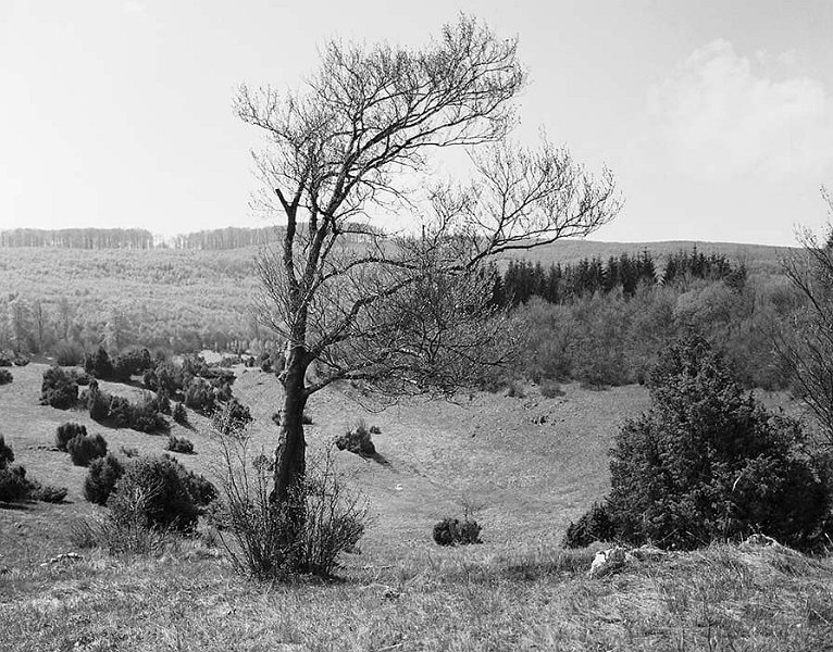 VI_FoN_66-154_06.jpg - Nagymező