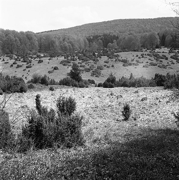 VI_FoN_66-154_10.jpg - Zsidó rét
