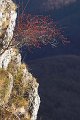 VI_FoDi_06_2390