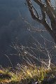 VI_FoDi_06_2405