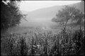 VI_FoN_05-06_16