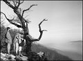 VI_FoN_66-044_11