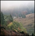 VI_FoN_66-150_11