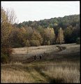 VI_FoN_66-151_04