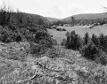VI_FoN_66-154_09
