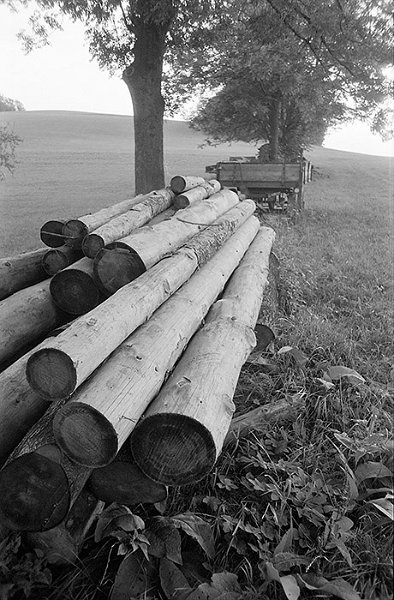 VI_FoN_08-20_18.jpg - Óriáshegység