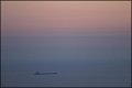 VI_FoDi_04_8513_a