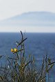 VI_FoDi_04_8595_b