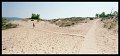 VI_FoN_14-06_38