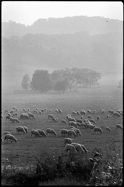 VI_FoN_03-26_74.jpg - Zselic, Almamellék környékén