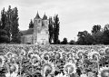 VI_FoN_01-051_60