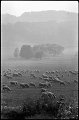 VI_FoN_03-26_74