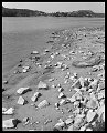 VI_FoN_08-14_01