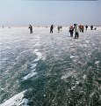 VI_FoN_66-148_07