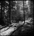 VI_FoN_66-038_06